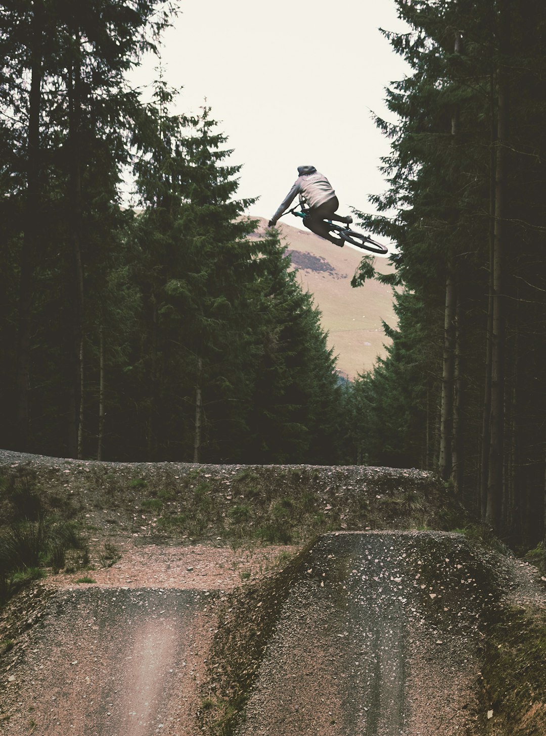 Wales Mountain Biking Guide: Best Trails